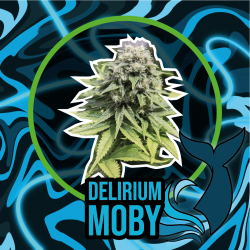 copy of DELIRIUM MOBY...